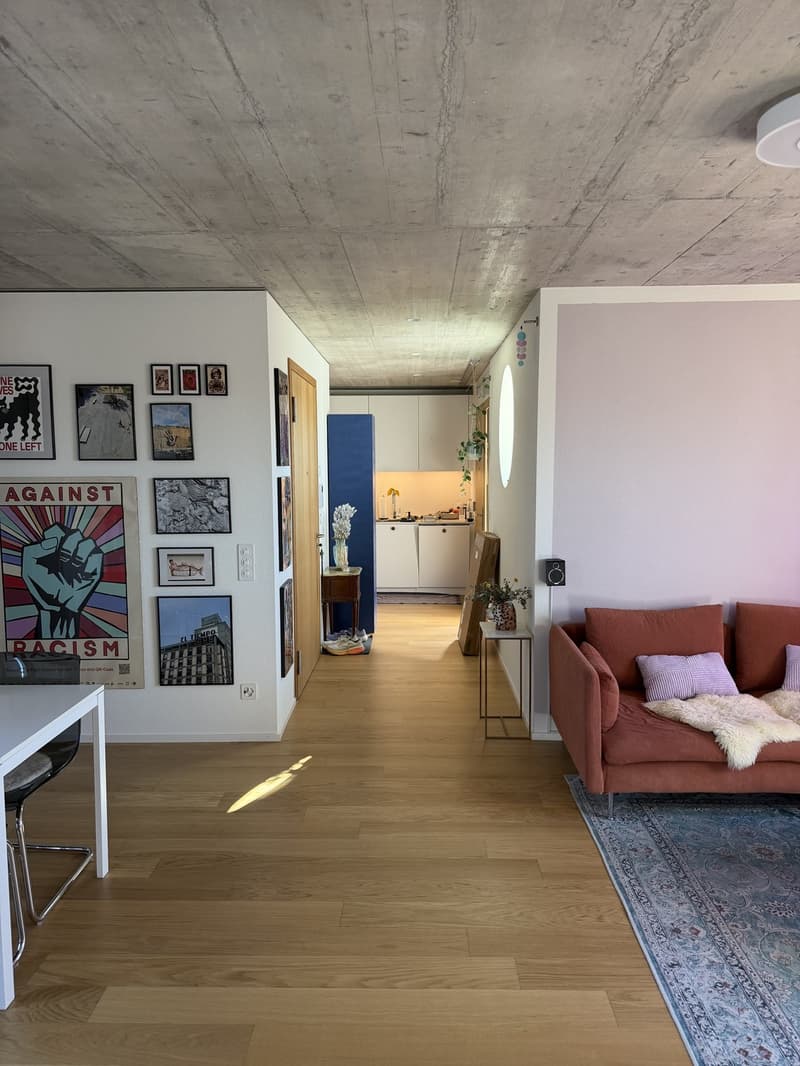 Untermiete für 3 Monate - Wunderschöne Wohnung im 6. Stock mit 2 grossen Dachterrassen (4)