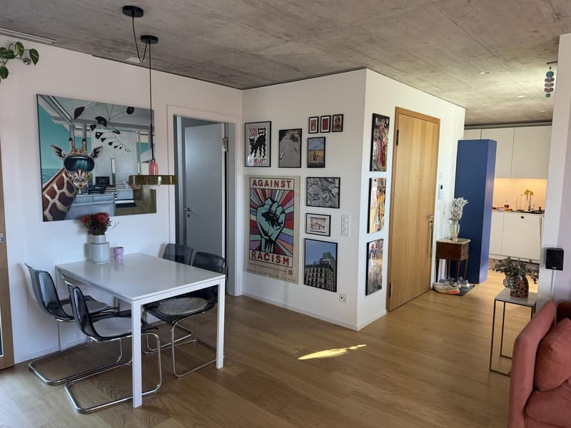 Untermiete für 3 Monate - Wunderschöne Wohnung im 6. Stock mit 2 grossen Dachterrassen (6)