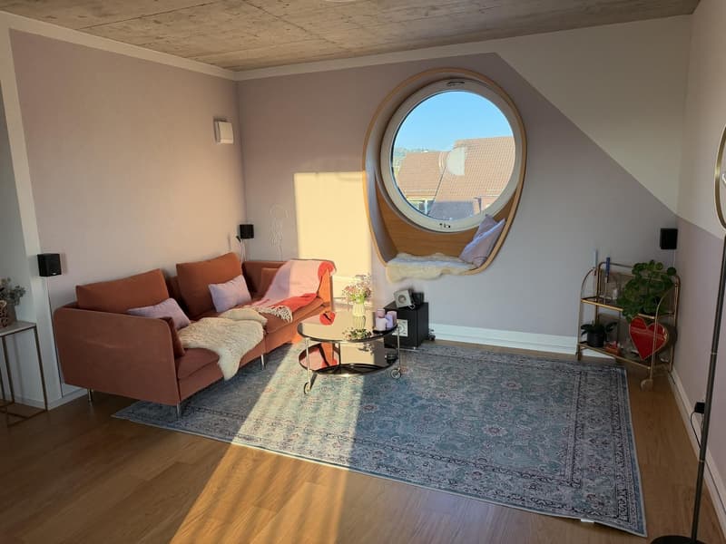 Untermiete für 3 Monate - Wunderschöne Wohnung im 6. Stock mit 2 grossen Dachterrassen (1)