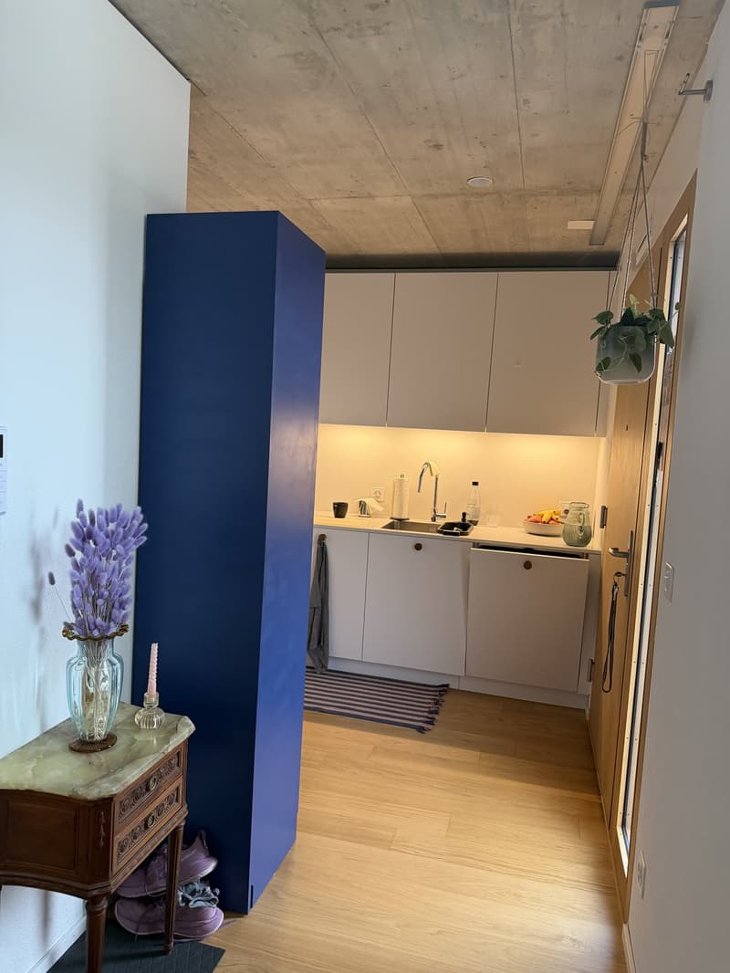 Untermiete für 3 Monate - Wunderschöne Wohnung im 6. Stock mit 2 grossen Dachterrassen (5)