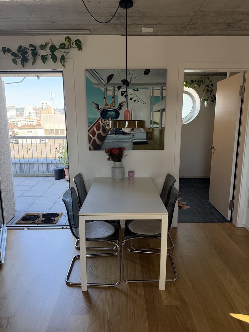 Untermiete für 3 Monate - Wunderschöne Wohnung im 6. Stock mit 2 grossen Dachterrassen (3)