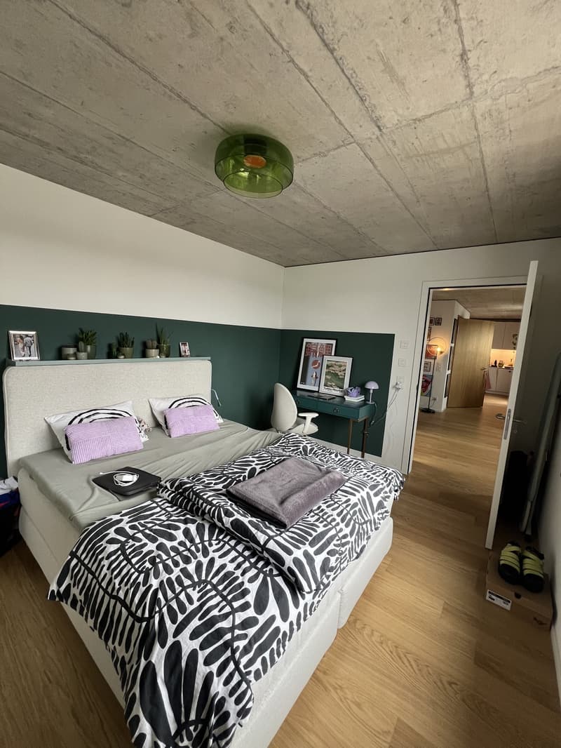Untermiete für 3 Monate - Wunderschöne Wohnung im 6. Stock mit 2 grossen Dachterrassen (11)