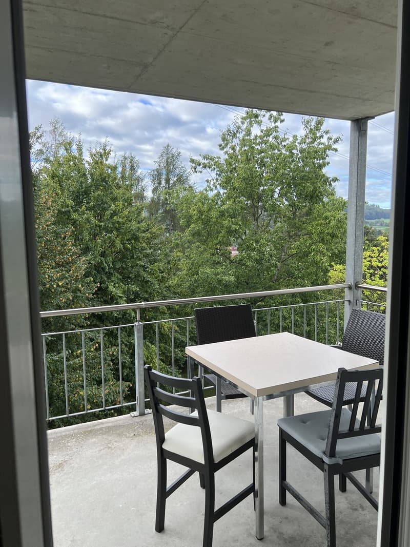 WG-Zimmer Fribourg für Studenten/in (12)