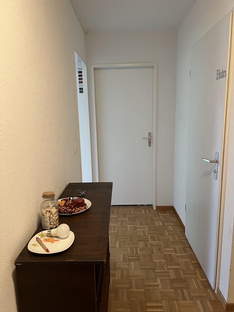WG-Zimmer Fribourg für Studenten/in (6)