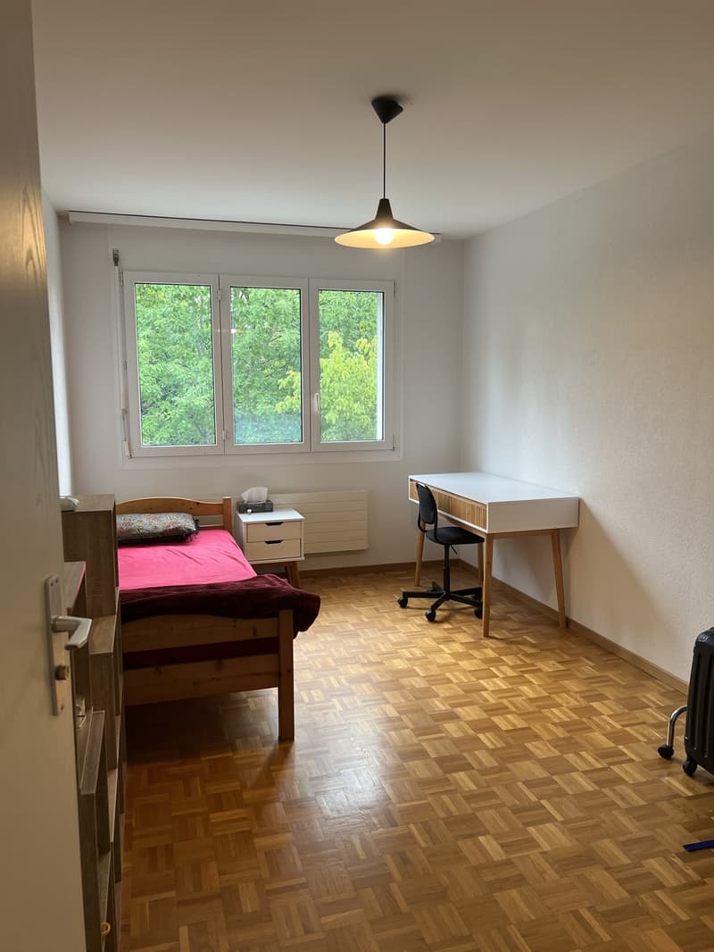 WG-Zimmer Fribourg für Studenten/in (1)
