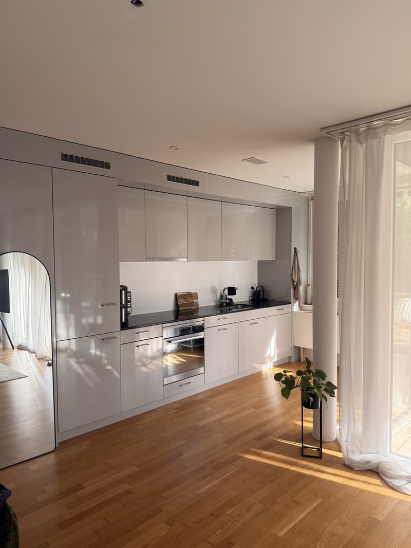 Helle 2.5-Zimmer Wohnung (3)