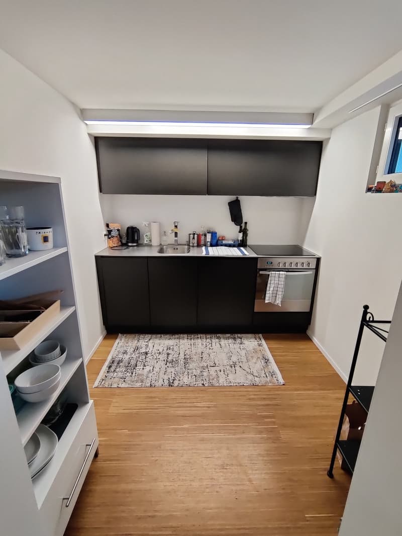 Large 2-room apartment in Pfäffikon SZ (3)