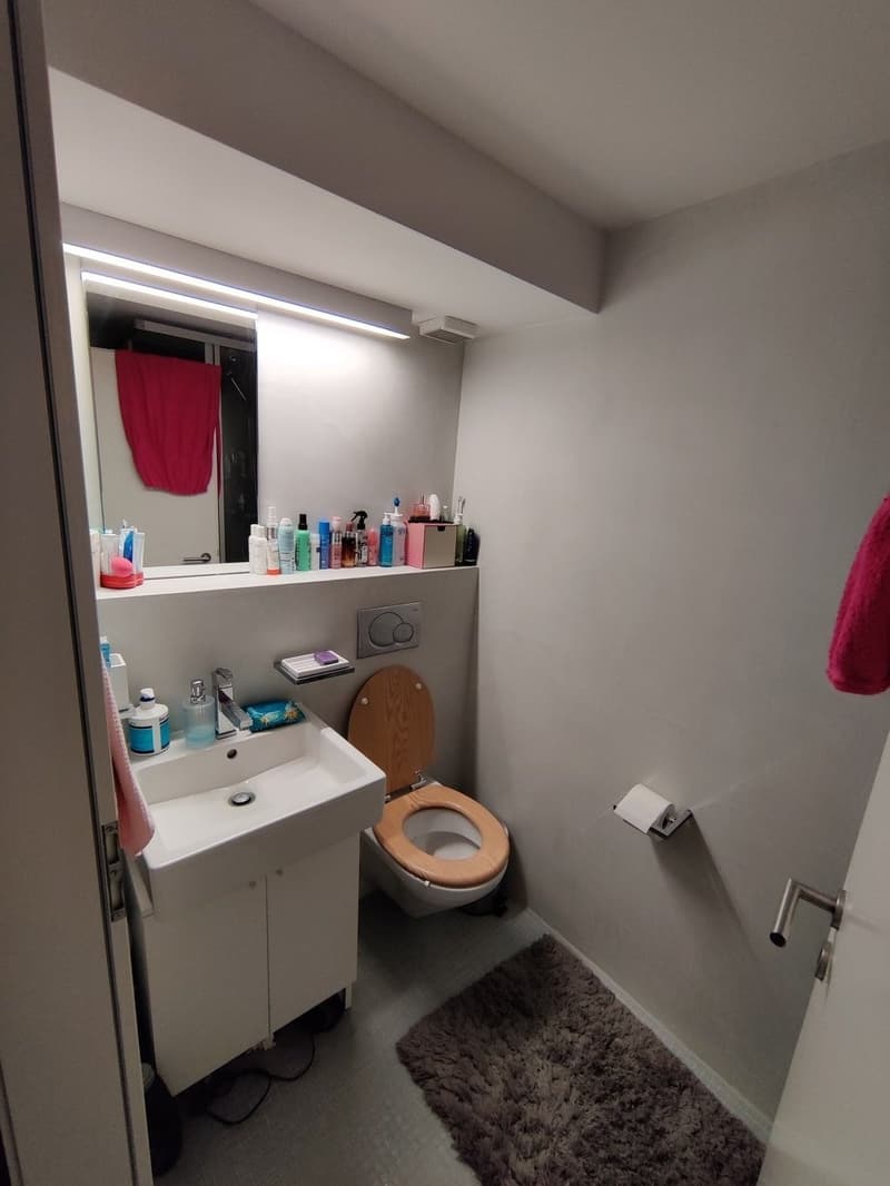 Large 2-room apartment in Pfäffikon SZ (4)