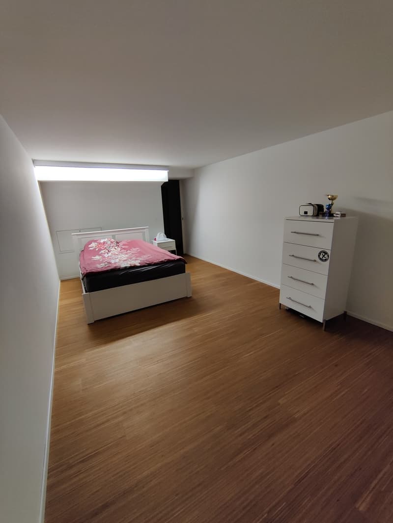 Large 2-room apartment in Pfäffikon SZ (2)