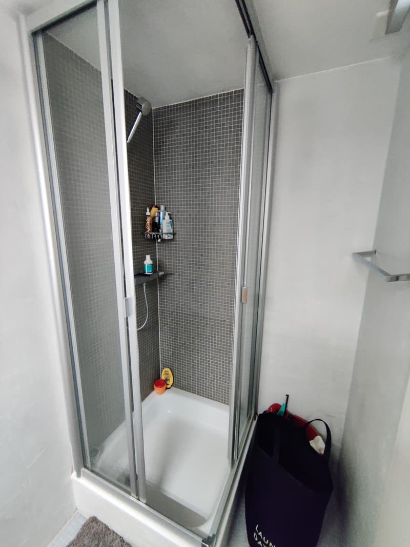 Large 2-room apartment in Pfäffikon SZ (5)