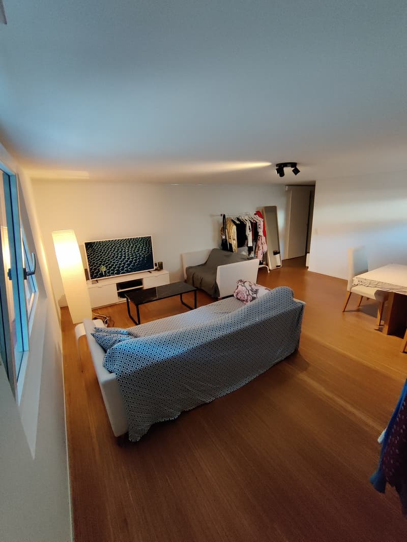 Large 2-room apartment in Pfäffikon SZ (7)