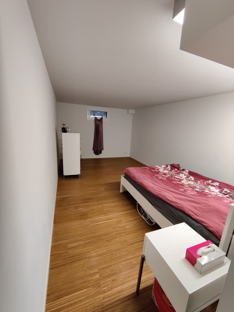 Large 2-room apartment in Pfäffikon SZ (1)