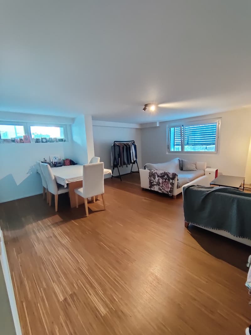 Large 2-room apartment in Pfäffikon SZ (6)