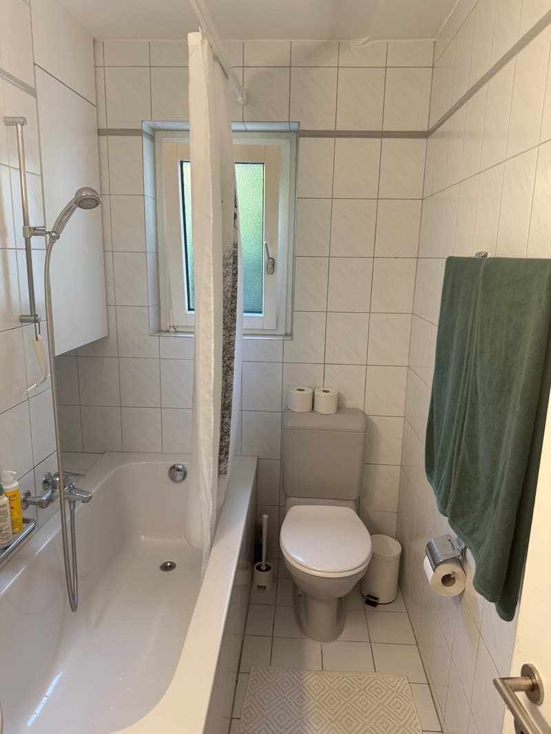 Untermiete 3.5 Monate: Möblierte 3.5-Zimmer-Wohnung mit Garten (4)