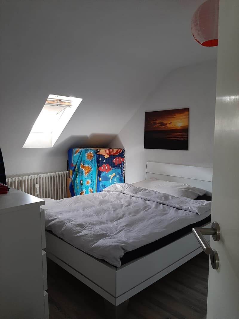 Preiswerte helle und moderne 3-Zimmerwohnung mit Balkon weiterzugeben (3)