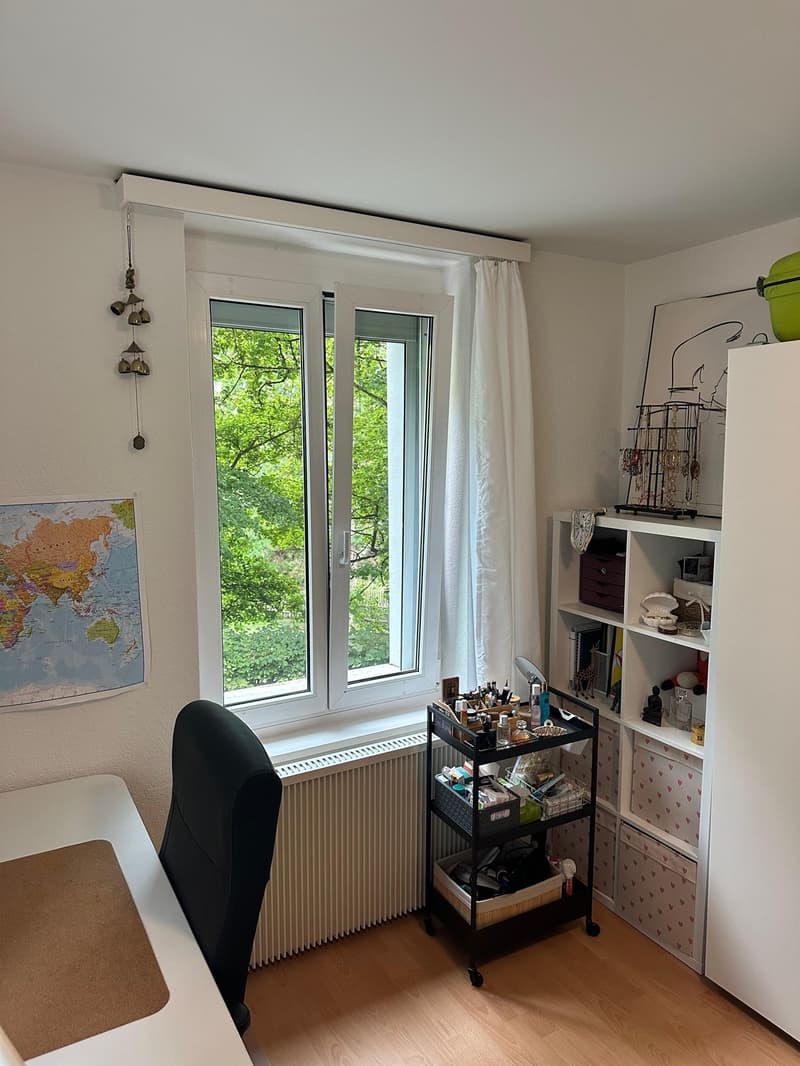 Zentralgelegene ruhige 1.5 Zimmer Wohnung (3)