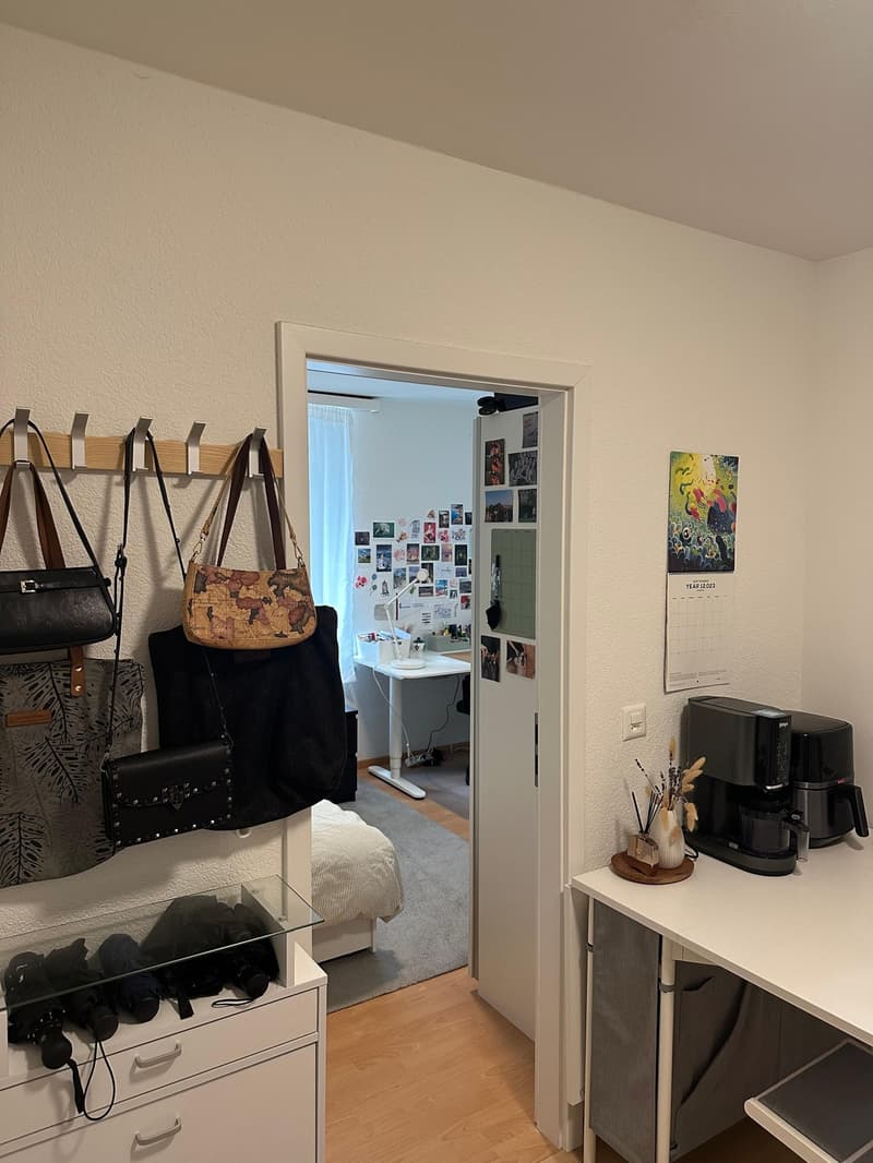 Zentralgelegene ruhige 1.5 Zimmer Wohnung (1)