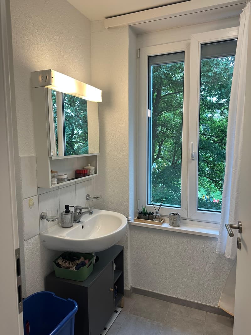 Zentralgelegene ruhige 1.5 Zimmer Wohnung (6)