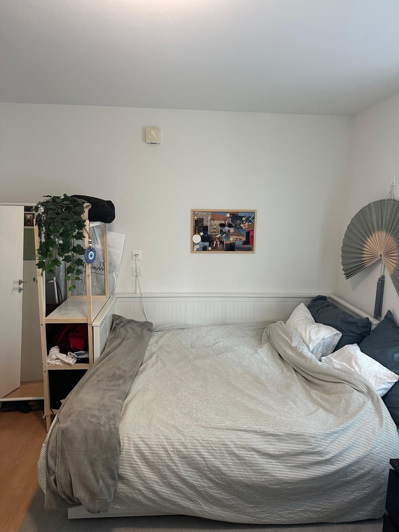 Zentralgelegene ruhige 1.5 Zimmer Wohnung (5)
