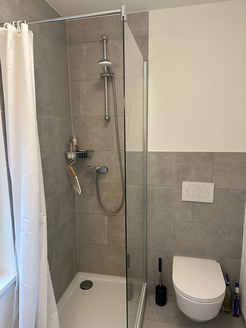 Zentralgelegene ruhige 1.5 Zimmer Wohnung (7)