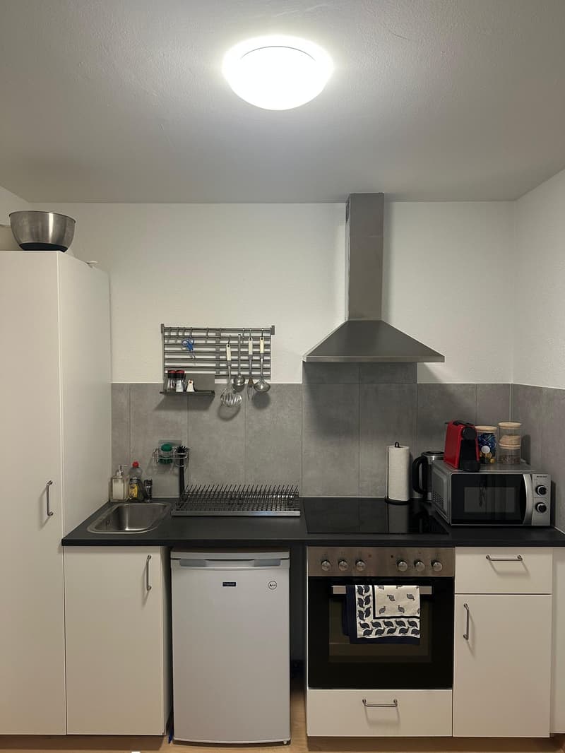 Zentralgelegene ruhige 1.5 Zimmer Wohnung (2)