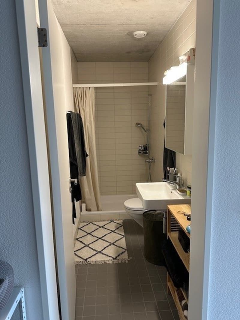 Per sofort oder nach Vereinbarung: Moderne 2.5 Zimmer Wohnung in Bümpliz (4)