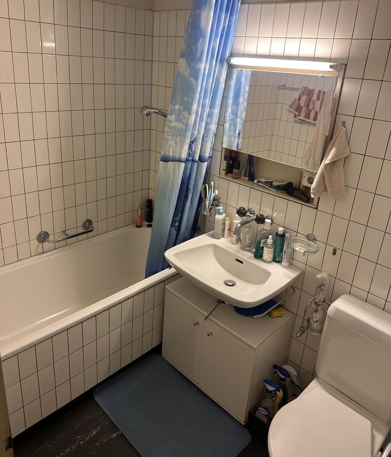 1 Zimmer-Wohnung, 6004 Luzern (2)