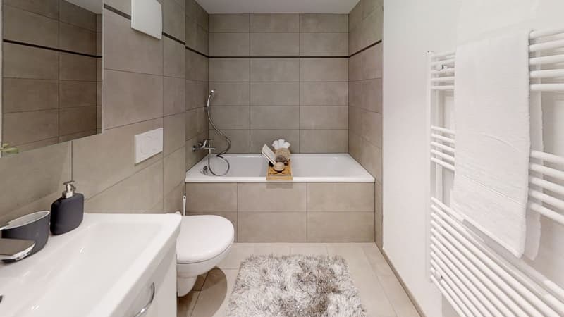 3.5 Zimmer Wohnung (3)