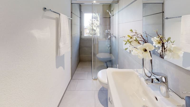 3.5 Zimmer Wohnung (8)