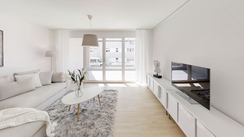 3.5 Zimmer Wohnung (5)
