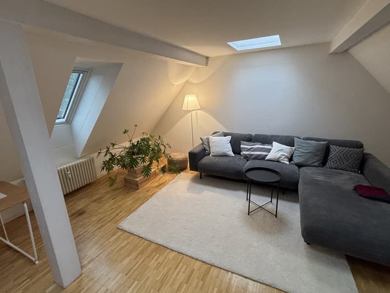Wunderschöne zentrale Wohnung zur Untermiete (1)