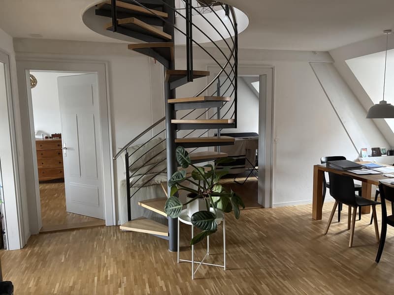 Wunderschöne zentrale Wohnung zur Untermiete (3)