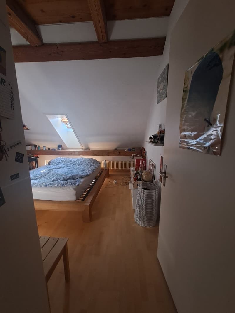 WG Zimmer, 8400 Winterthur (1)