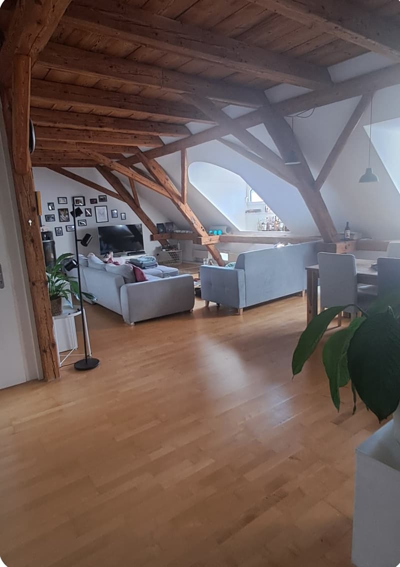 WG Zimmer, 8400 Winterthur (5)