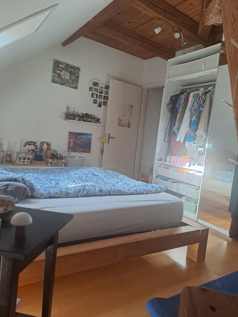 WG Zimmer, 8400 Winterthur (2)