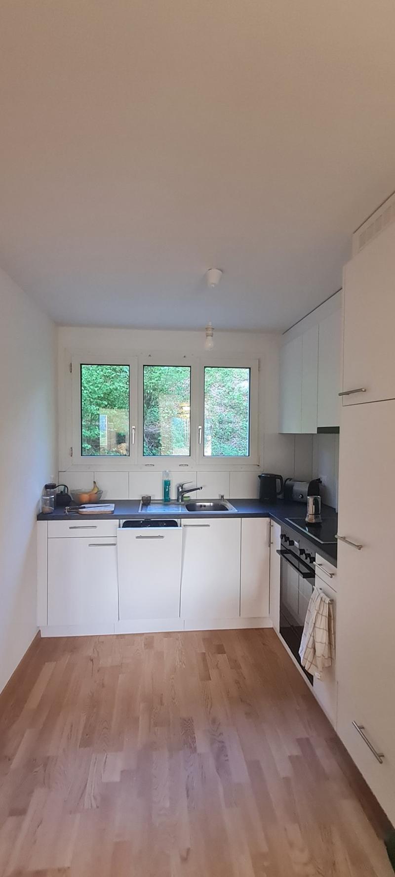 WG-Zimmer (13pm) in heller ruhiger 2er WG (5)