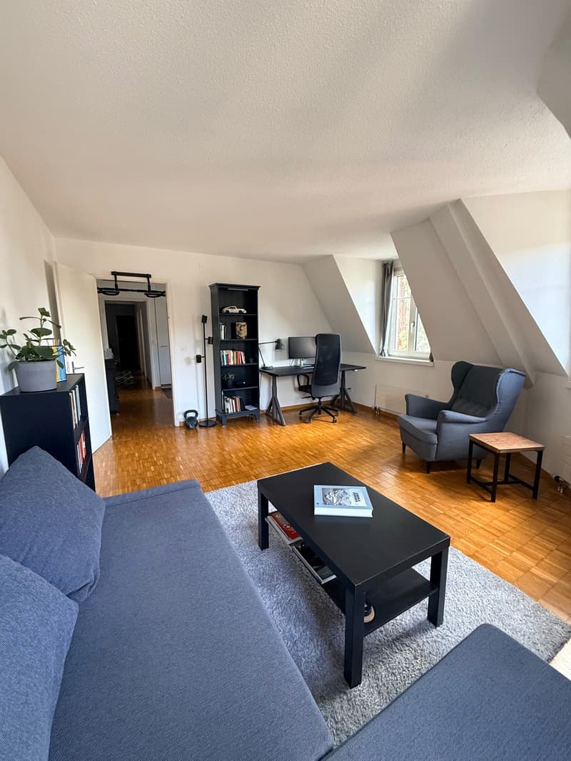 Wohnung an zentraler Lage in Horgen zur Untermiete (3)