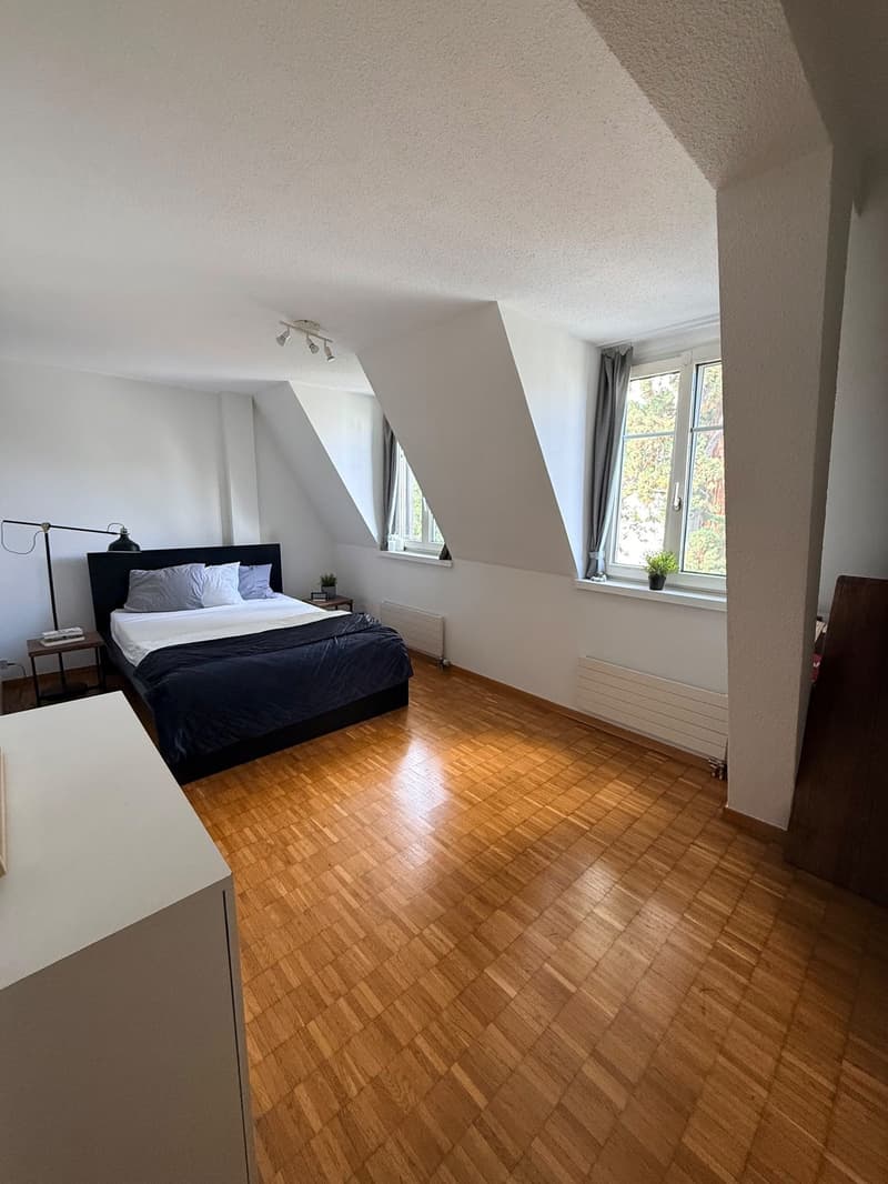 Wohnung an zentraler Lage in Horgen zur Untermiete (6)