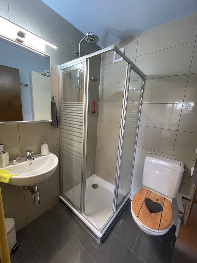 Attraktive möblierte 1-Zimmer Wohnung in Untersiggenthal (6)