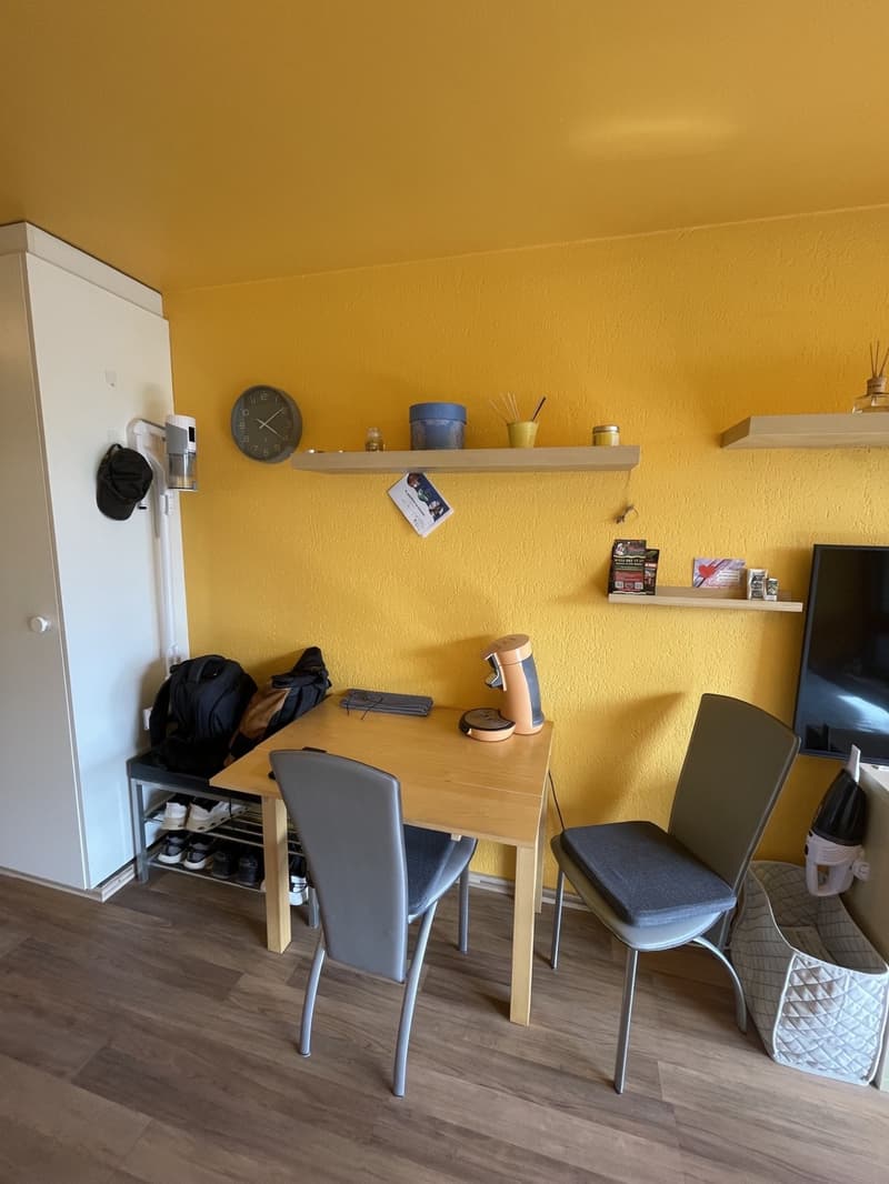 Attraktive möblierte 1-Zimmer Wohnung in Untersiggenthal (7)