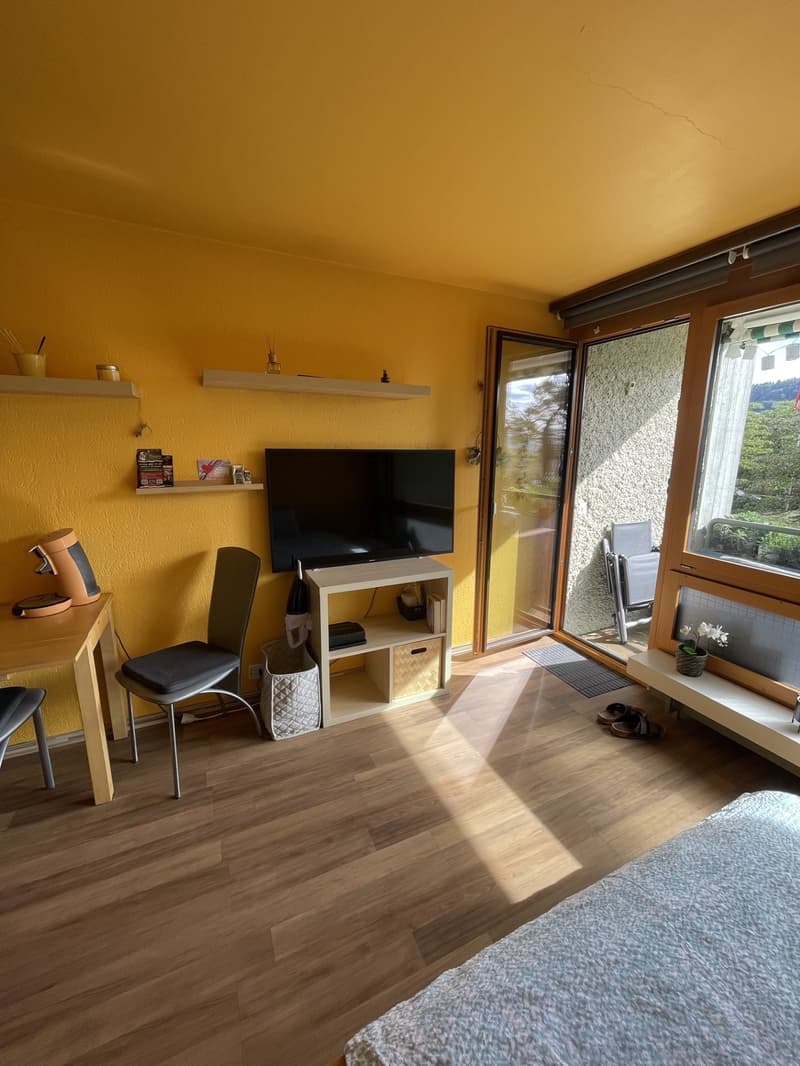 Attraktive möblierte 1-Zimmer Wohnung in Untersiggenthal (8)