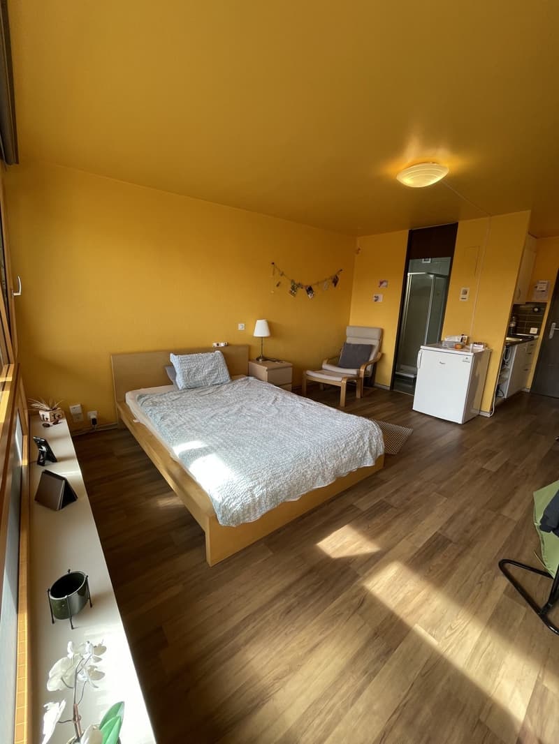 Attraktive möblierte 1-Zimmer Wohnung in Untersiggenthal (1)