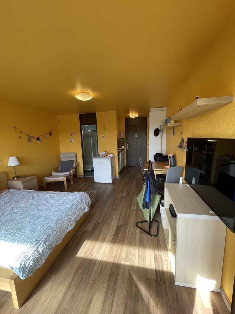 Attraktive möblierte 1-Zimmer Wohnung in Untersiggenthal (4)