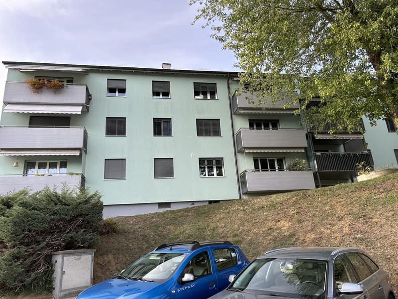 3 Zimmer Wohnung 70 Quadratmeter in Laufen BL (8)