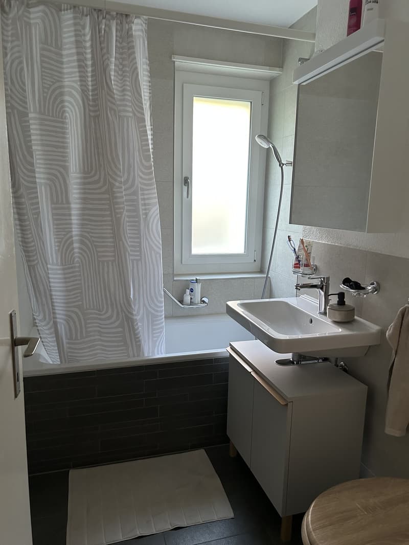 3 Zimmer Wohnung 70 Quadratmeter in Laufen BL (6)
