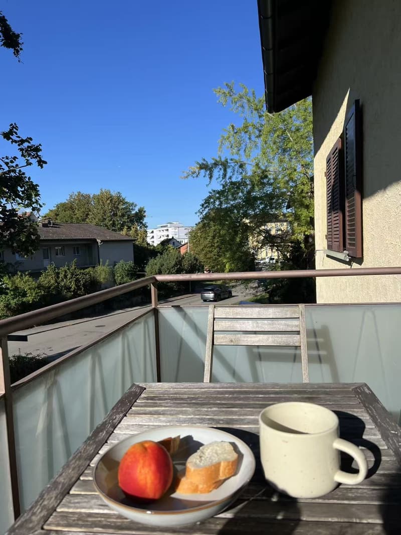 Rent a room in a shared apartment in Zurich (2)
