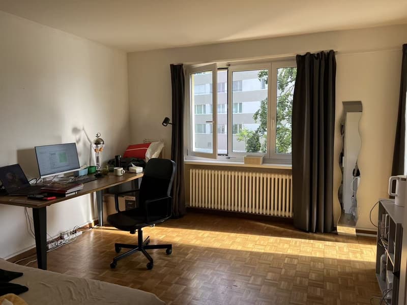 Rent a room in a shared apartment in Zurich (1)