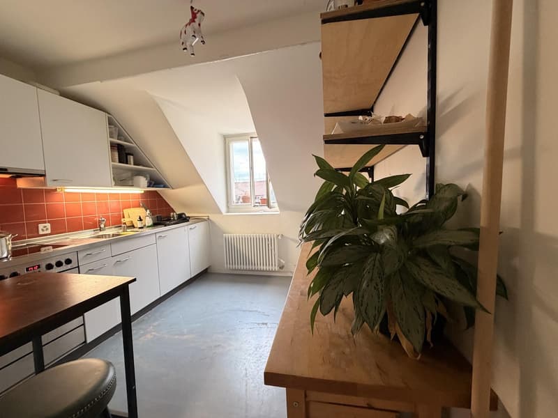 Looking for a LGBT flat mate (2)
