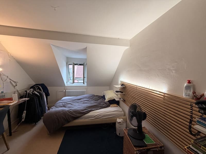 Looking for a LGBT flat mate (3)