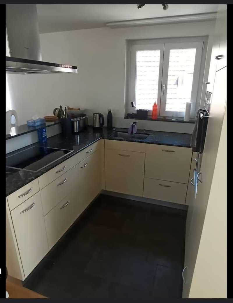 3 1/2-Zimmer-Wohnung mit eigener Dachterrasse und Seesicht (2)